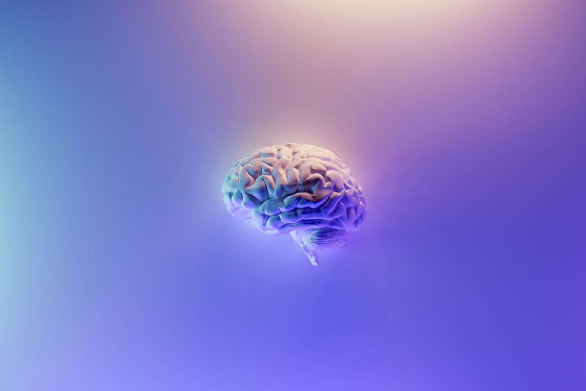 A human brain illuminated in blue and violet light
